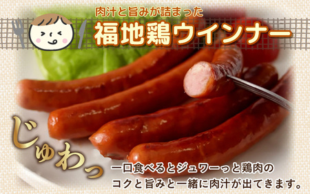福井ブランド「福地鶏」詰め合わせ 5種 ＜燻製モモ・ハム・ウインナー・ソーセージが色々楽しめるお肉セット＞ ／ 鶏肉 チキン おつまみ 朝食 アウトドア ギフト 贈答 [aw036-a011]