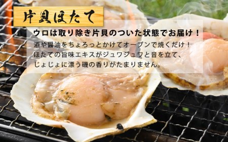 海鮮 BBQ おつまみセット「越前えび ＆ 片貝ほたて」約4～5人前（越前えび500g 片貝ほたて10枚）【ホタテ がまえび】 [e04-a063]