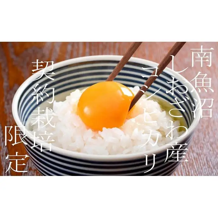 【令和7年産】【定期便20Kg×３ヶ月】契約栽培限定 南魚沼しおざわ産コシヒカリ【定期便 銘柄米 ブランド米 精米 こしひかり コシヒカリ 魚沼産 新潟米 産地直送 お米 米 こめ コメ ご飯 御飯 ごはん】