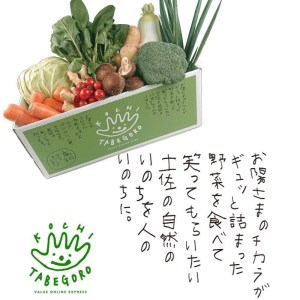 『定期便』野菜詰め合わせセット6ヵ月