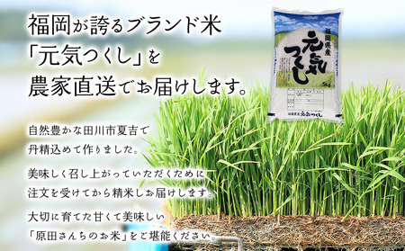 「原田さんちのお米」元気つくし 米 10kg お取り寄せグルメ お取り寄せ 福岡 お土産 九州 ご当地グルメ 福岡土産 取り寄せ 福岡県 食品