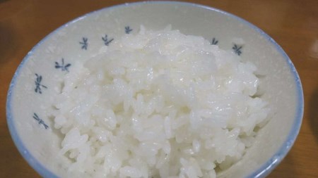 【令和7年産】にじのきらめき 精米10kg【荒川アグリ】 | 米 こめ コメ こしひかり 国産 単一米 茨城県産 古河市 ※2025年10月上旬頃より順次発送予定 _DH01