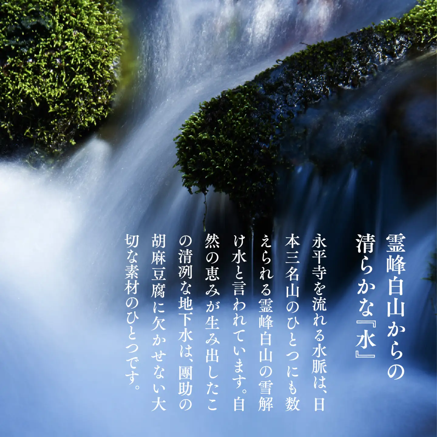 永平寺御用達 團助金ごまどうふ 4個 [A-005016]