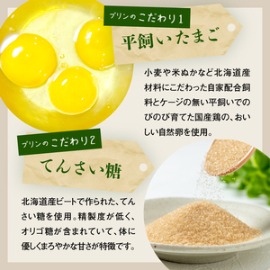 【★高評価レビュー獲得！】養老牛放牧牛乳使用エシカル・プリン6個 プリン オーガニック オーガニック牛乳 牛乳 おいしい牛乳 乳製品 乳飲料 有機JAS認証 低温殺菌 高栄養 スイーツ ふるさと納税 北海道 中標津町 中標津【1301302】