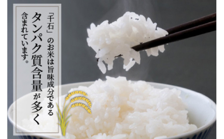 【 先行予約 /10月以降配送】【令和7年産】福井県産コシヒカリ「千石」 10kg 小浜市 / 千石の郷  [BFCA001]