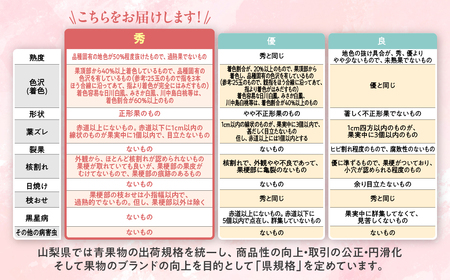 朝どれ！直送！ 桃 2.0kg相当  山梨県産桃  AD-122