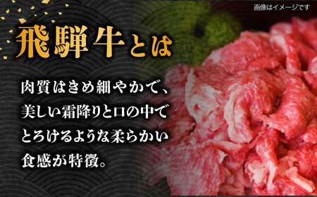 【6回定期便】【飛騨牛】A5等級切り落とし 500g [TAZ013] すき焼き