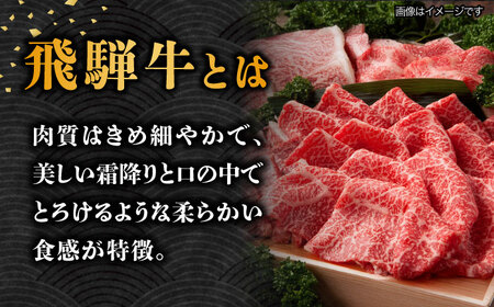 【6回定期便】【飛騨牛】A5等級 ロース 肩ロース しゃぶしゃぶ用 1kg [TAZ028] 牛肉 薄切り