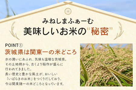 定期便 常陸牛農家が育てるコシヒカリ 10kg×6回 令和7年度産 米 お米 白米 こめ 精米 取り寄せ 特産 ごはん ご飯 コメ お取り寄せ ギフト 贈り物 お弁当 弁当 おにぎり ふっくら ツヤツヤ 甘い 農家直送 産地直送 国産 茨城県産 A31-007