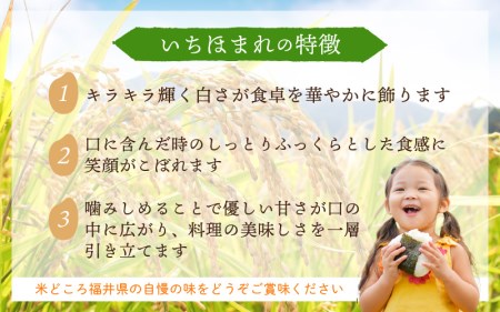  令和7年産 いちほまれ 10kg (5kg×2)「福井県ブランド」 特A通算6回獲得！【白米】【人気品種】 [e30-c015]