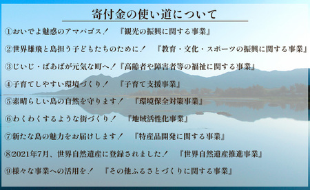 【返礼品なし】天城町 への寄付 （1口： 100,000円 ）鹿児島 徳之島 天城町 寄附 応援 支援 寄付のみ 返礼品なし