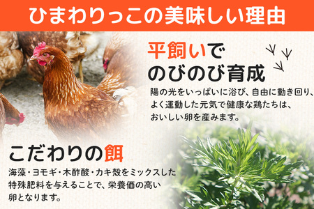 平飼いたまご ひまわりっこ 3か月定期便 24個 (22個＋割れ補償2個) 1箱×3回 卵 鶏卵 高品質 贈答 お歳暮 那珂市 国産 高級 安心 平飼い たまご 玉子 無選別 コク旨 濃厚 黄身 白身 地鶏 たまごかけごはんにぴったり A25-002
