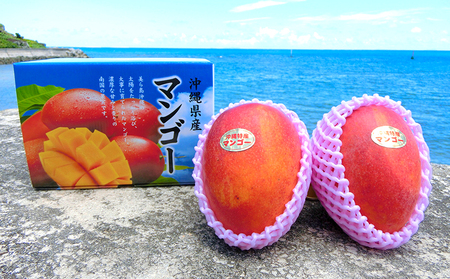 マンゴー【2026年発送】久米島印商店 完熟マンゴー 約1kg  フルーツ 果物