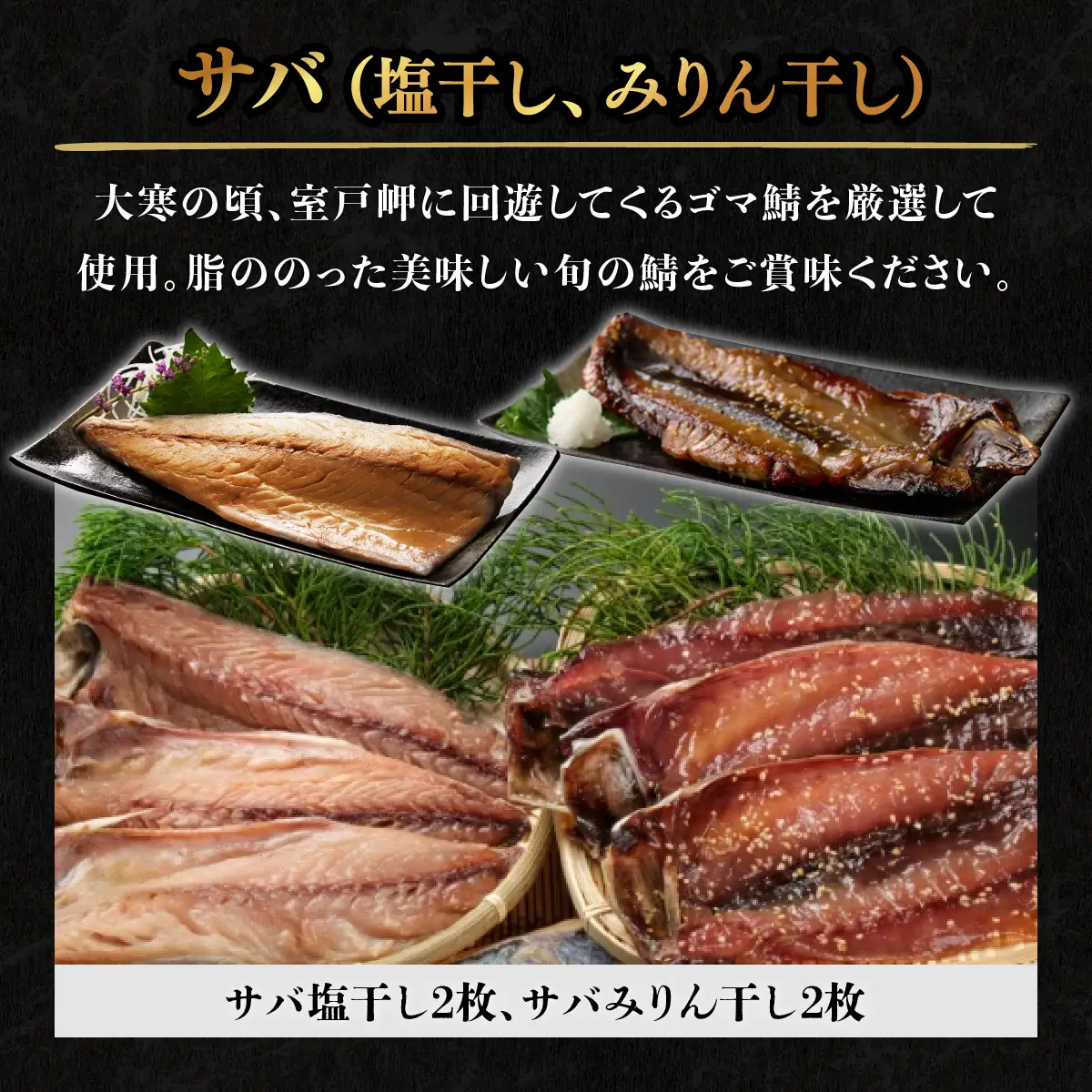 いずま海産定番干物セット