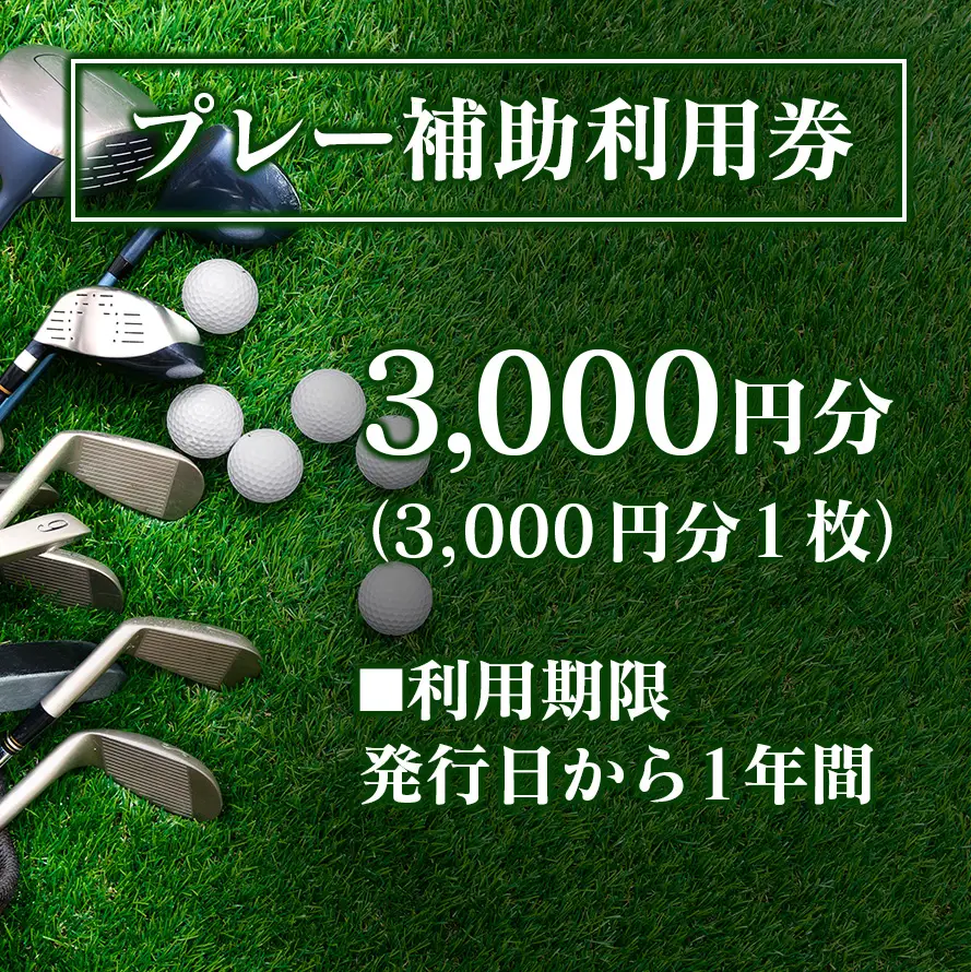 千代田ゴルフ倶楽部　ゴルフ場優待プレー補助利用券 3,000円分 CH078_001