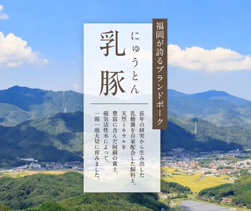 乳豚 メンチカツ20個【A7-037】