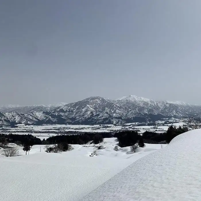 南魚沼塩沢コシヒカリ【西山の天水田米】精米5kg【銘柄米 ブランド米 精米 こしひかり コシヒカリ 魚沼産 新潟米 産地直送 お米 米 こめ コメ ご飯 御飯 ごはん】