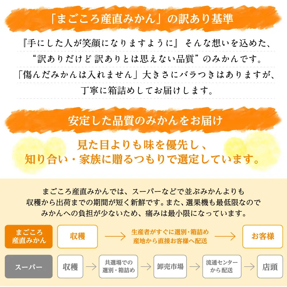 訳あり 早生みかん 6.5kg みかん