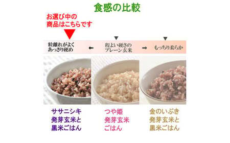 発芽玄米パックご飯 150g×40パック ササニシキ発芽玄米 黒米 発芽玄米 レンジ 有機栽培 パックライス ご飯 米 レンチン 【有機農園ファーミン株式会社】 tm121