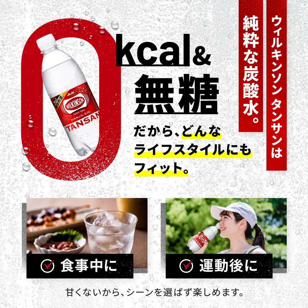 アサヒ飲料 ウィルキンソン タンサン（500mlペットボトル×24本×2箱）