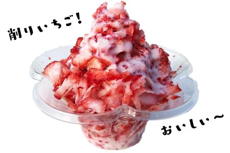冷凍完熟いちご「つぶっこ」 2kg いちご 苺 冷凍 完熟 イチゴ ストロベリー  冷凍 シャーベット アイス デザート 果物 甘い 酸味 フレッシュ 完熟いちご スムージー 氷苺 まるごと 千葉県 東庄町