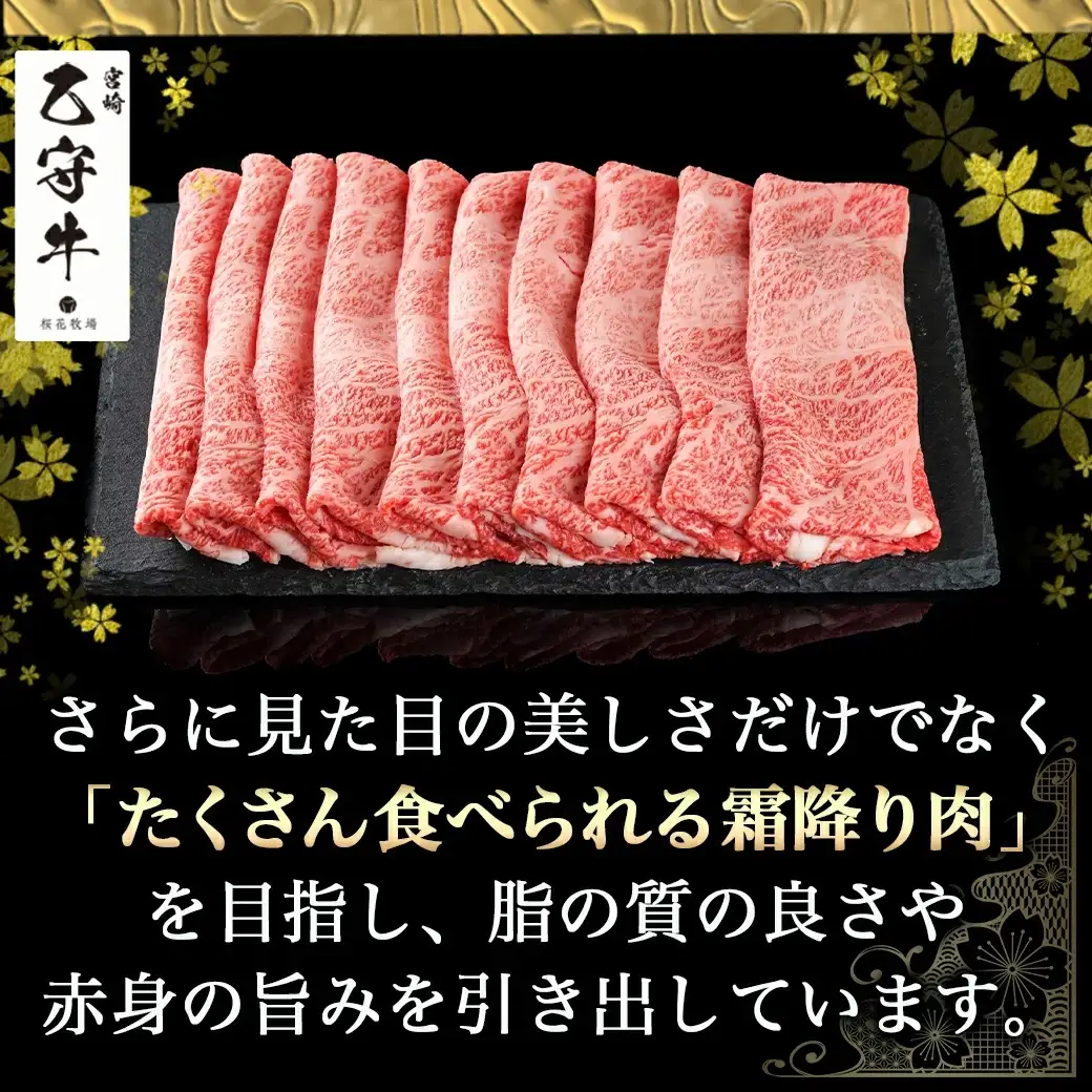 数量限定！【宮崎牛A5】肩ロースすきしゃぶ500g(乙守牛)〔24-6503〕_(都城市) 都城産宮崎牛 乙守牛 A5 肩ロースすきしゃぶ 500g×1パック 牛肉 