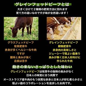 ハンバーグ 手ごね 150g × 4個（ 計  600g ） 無添加 湯煎 温めるだけ 小分け 和牛 冷凍配送
