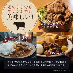 牛すじ煮込み 900g ( 300g × 3個 ) セット 詰め合わせ 仙台牛 国産牛 国産牛肉 牛肉 肉 牛すじ