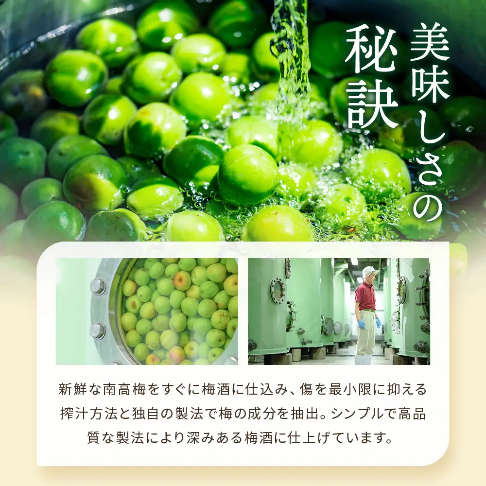 紀州のイチゴ梅酒　720ml