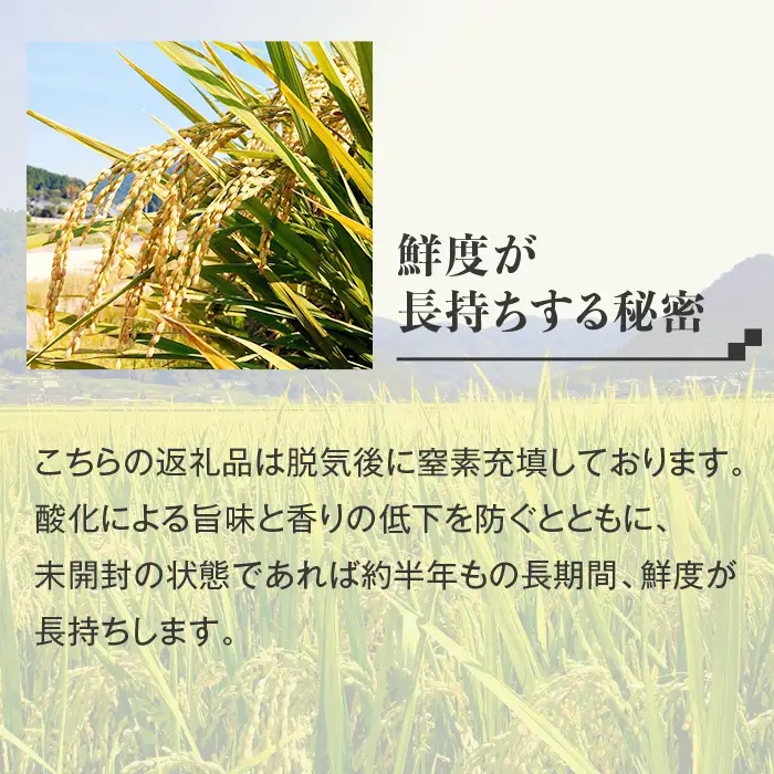 【無洗米】岡山県産こしひかり2kg【3ヶ月連続お届け】