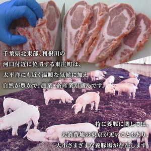 【林SPF豚】 焼き肉セット（シート巻き） ロース500g・肩ロース500g 計1kg 豚肉 豚 ロース 肩ロース 柔らかい 旨味 甘み 焼肉 焼き肉 やきにく 冷凍  詰め合わせ 千葉県 東庄町