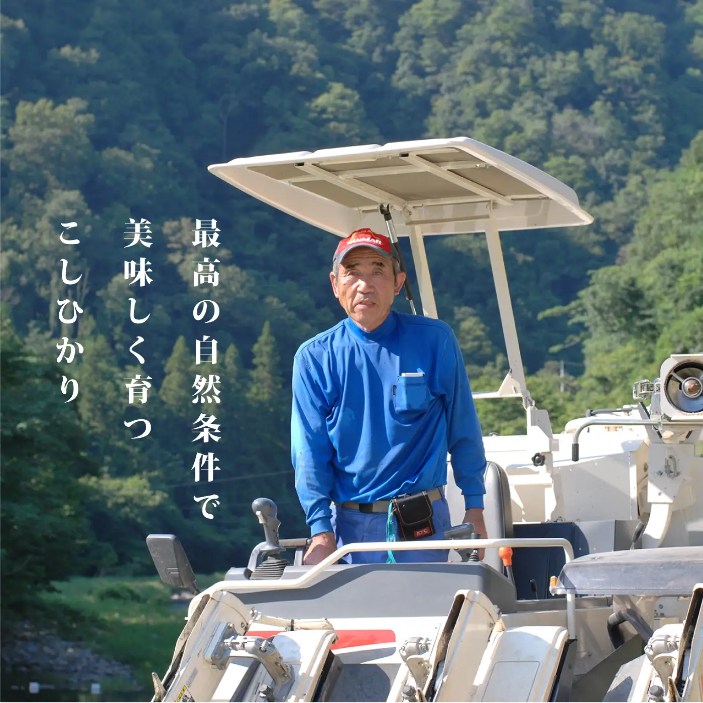 令和7年産≪美味しまね認証産品≫島根県邑南町産　コシヒカリ　10kg