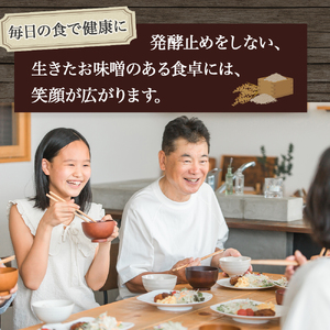 井上糀店の手作り味噌キット（野田琺瑯の容器付き） 味噌 手作り 無添加 無着色 高知県産米 国産大豆 ／Lik-B01