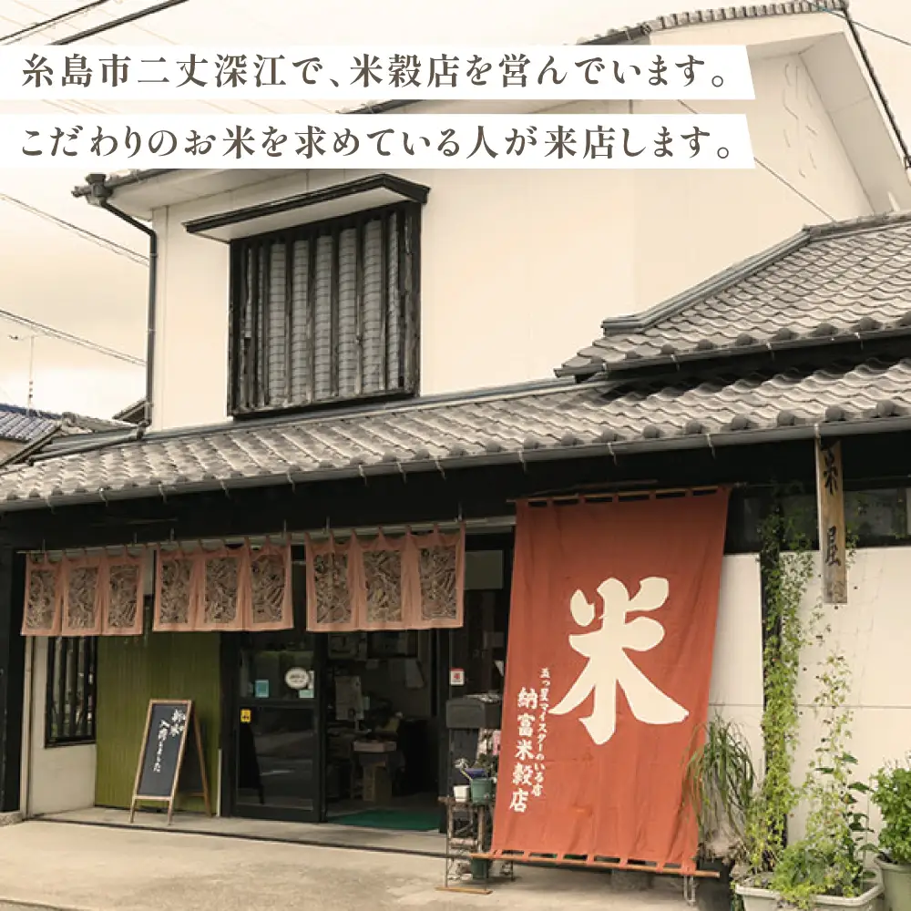 伊都の米 5kg  糸島市 / 米屋納富 [ARL001] 白米 お米