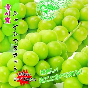 《2026年発送》大粒 シャインマスカット セット 秀品 約5kg ( 6～10房 )  2026年発送 ｜ 香川産 ぶどう マスカット