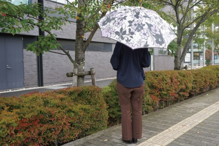 雨長傘　テッセン（紫）