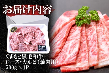 くまもと黒毛和牛 焼肉用ロース・カルビ 500g 《60日以内に出荷予定(土日祝除く)》 熊本県 長洲町 くまもと黒毛和牛 黒毛和牛 牛肉 肉 焼き肉 株式会社 羽根(出荷元：株式会社酒湊)