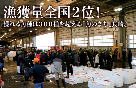 《定期便》高級白身魚干物｢百花繚乱｣丸富水産【6回お届け】