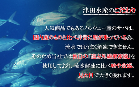 《定期便》ひものギフト｢凪｣津田水産【6回お届け】