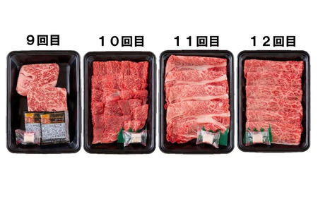 《定期便》長崎和牛お届け便ミニ(12回)