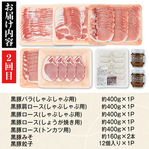 【E02004】＜定期便・全3回(隔月)＞極上セットD！かごしま黒豚ふるさと定期便 鹿児島 国産 九州産 黒豚 焼肉 しゃぶしゃぶ すき焼き 焼肉 ぎょうざ ギョーザ ギフト 贈答【和田養豚】