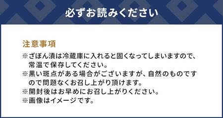 伝統銘菓 ざぼん漬セット 100g×10袋 | 津久見市