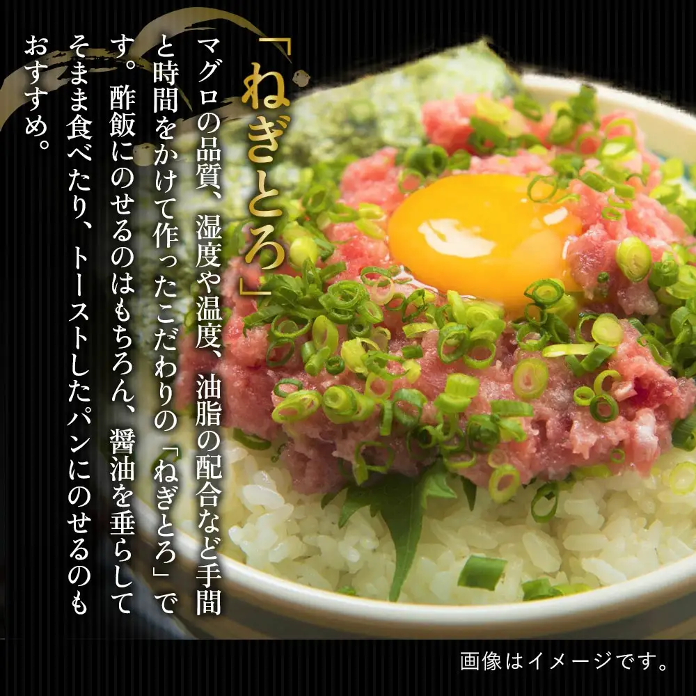 漬け丼 まぐろ漁師飯セット 漬け丼 | 津久見市