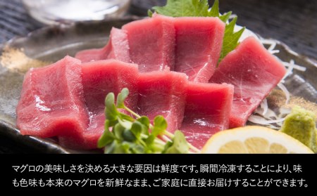 本マグロ お刺身用 赤身 5人前 (800g) | まぐろ 津久見市