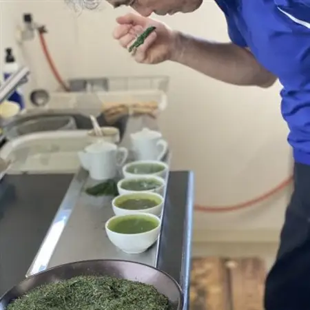 大和茶・宇治玉露セット_飲料・ドリンク 茶葉・ティーバッグ 茶 _【1356580】