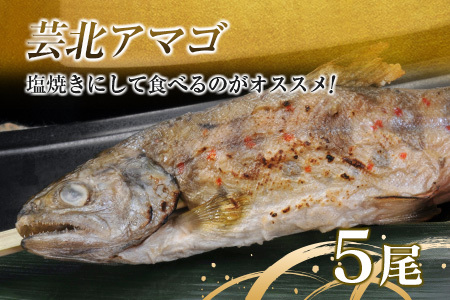 芸北サーモン計800g＆アマゴセット 骨取り サーモンフィレ 冷燻サーモン スモークサーモン 芸北アマゴ 清流育ちのお魚セット 山育ち芸北サーモン_OG065_004