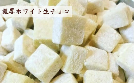 訳あり 濃厚 生チョコレート 4種セット 各250g 生チョコレート ちょこちょこ