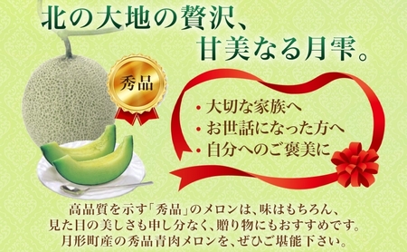 【2026年夏発送】北海道 青肉メロン 月雫 秀品 2玉 約1.6kg 計約3.2kg以上 令和8年 メロン 果物 フルーツ 旬 季節 希少 甘い 豊潤 国産 北海道産 デザート ご褒美 産地直送 ギフト お祝い 贈答品 贈り物 お取寄