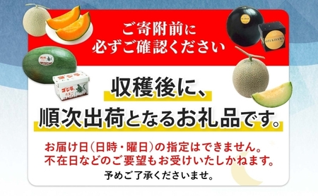 【2026年夏発送】北海道 青肉メロン 月雫 秀品 1玉 約1.6kg 令和8年 メロン 果物 フルーツ 旬 季節 希少 甘い 豊潤 国産 北海道産 デザート ご褒美 産地直送 産直 ギフト お祝い 贈答品 贈り物 お中元 常温 お取り寄せ 送料無料 