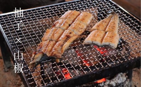いのや。の3色 柚子胡椒セット（赤・黄・緑 各色60g）【ボックス付】※配送不可：離島 調味料 3種類 贈り物 ギフトボックス 詰め合わせ 食卓 肉料理 魚料理 おかず 味付け 辛味 ピリ辛 食べ比べ 